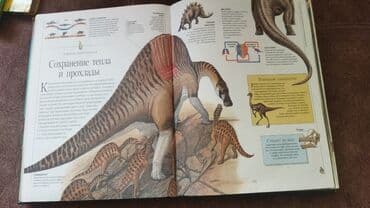 камуфляж форма бишкек: Продаю энциклопедию . 400 страниц в хорошем состоянии. твердый — 13