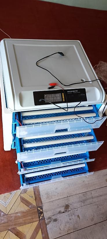 инкубатора: Инкубатор для яиц с автоматическим переворотом - Электронная панель — 1