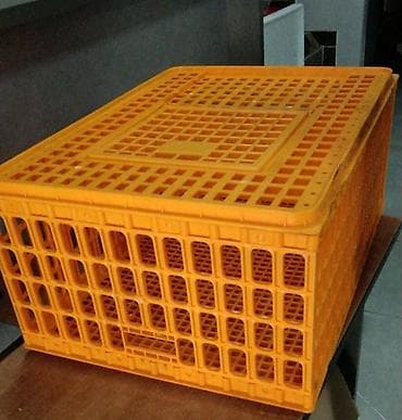 Ящики для перевозки кур
Размер 75-55-27см