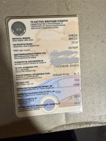 814 d: Легкий грузовик, Iveco — 8