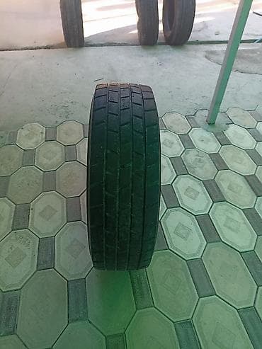 Грузовые шины 265/70 R19.5 - Модель: Sava Cargo C3 (на фото также — 9