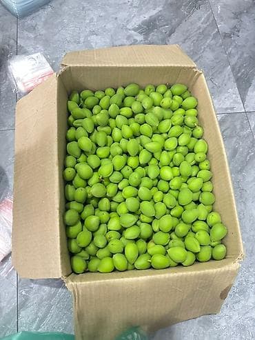 цена вишни на рынке: Абрикосы — 1