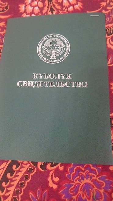 Земельные участки: 300 соток, Для сельского хозяйства — 2