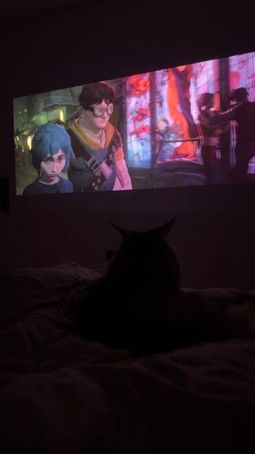 переходник для наушников и микрофона для ноутбука: Проектор Wanbo T6 Max Куплен год назад. В идеальном состоянии, брака — 3