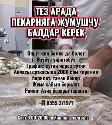 Повара: Требуется Пекарь, Оплата: Еженедельно, Без опыта — 1