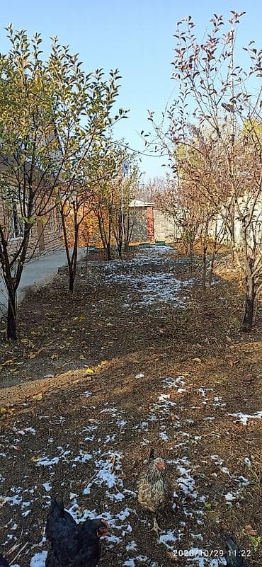 1 комната, Собственник, Без подселения, Без мебели