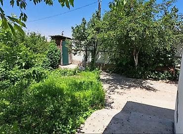 70 сом: 5 соток — 2