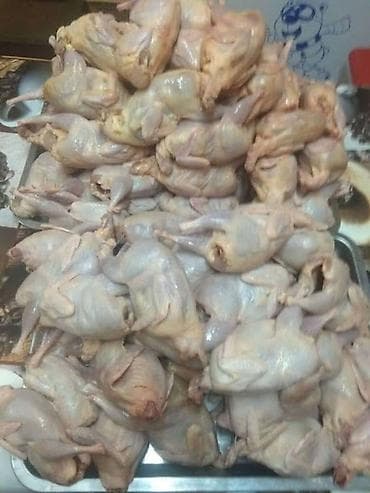 черный рис бишкек: Перепелиное мясо мы в центре города удобная локация — 1