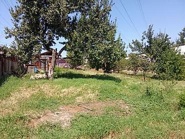 Земельные участки: 4 соток — 5