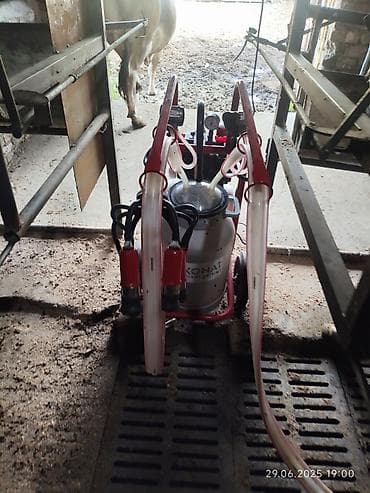 восковая моль: Нужен скотник и доярка — 2