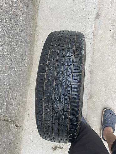покрышка р15: Шины 195 / 65 / R 15, Зима, Б/у, Легковые, Dunlop — 1