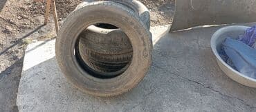 пресс бодборщик: Шины 175 / 65 / R 14, Всесезонная, Б/у, Пара, Легковые, Китай, Accelera — 1