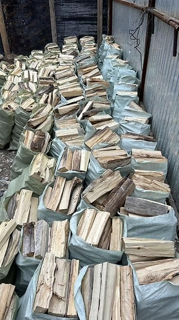 дерево береза: Дрова Тополь — 4