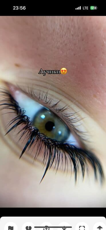 ресница на выезд: Ресницы, Голливуд, Классика, 2D, С выездом на дом, Консультация, Гипоаллергенные материалы — 1