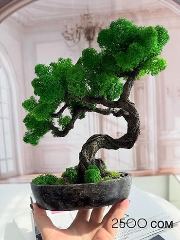 Үй жана бакча: Декоративное дерево бонсай, выполненное из стабилизированного мха — 1