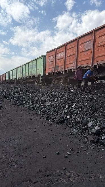 канистры пластиковые: Уголь уголь уголь Кара кече. Шабыркул Кара Жыра доставим по Иссык — 1