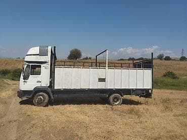 фура волва: Грузовик, MAN, Стандарт, 5 т, Б/у — 3