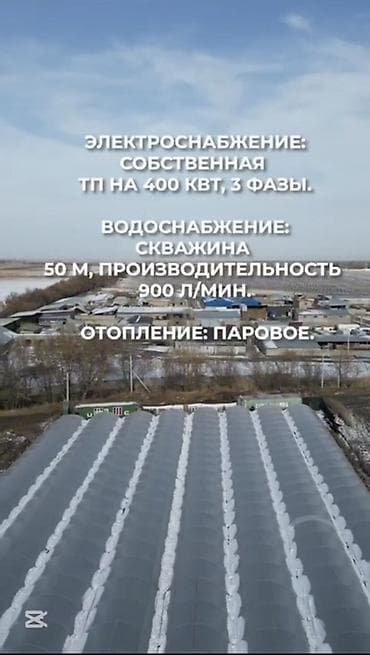 Кыймылсыз мүлк: Күнөскана, 135 соток, Иштебеген, Жабдуулары менен — 5