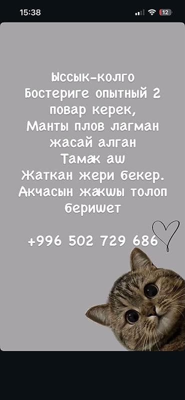 Требуется Повар : Универсал, Национальная кухня, Без опыта at lalafo.kg Требуется Повар : Универсал, Национальная кухня, Без опыта