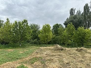 купольные: Дом с участком и хозяйственными постройками - Отдельно стоящий жилой — 6