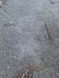 6 соток, Для сельского хозяйства, Красная книга at lalafo.kg 6 соток, Для сельского хозяйства, Красная книга