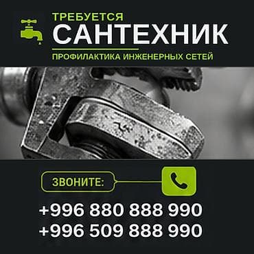 intel core i7: Требуется сантехник Обязанности: Профилактика инженерных коммуникаций — 1