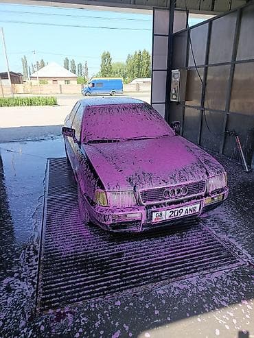 степ эреф 1: Audi 100: 1992 г., Седан — 6