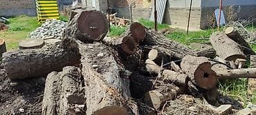 Все для дома и сада: Дрова — 2