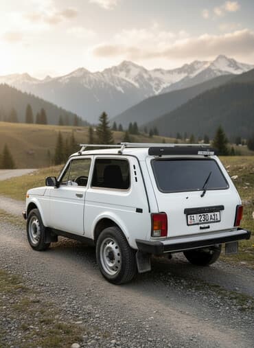 диски на авто r14: ВАЗ (ЛАДА) 4x4 Нива: 2010 г., Механика, Бензиновая, Внедорожник — 1