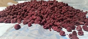 рабочи ат: Замороженная малина, клубника - Быстрая шоковая заморозка: сохраняет — 7