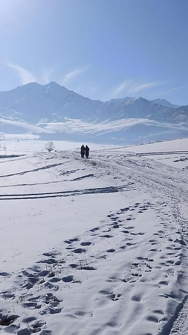 продается кашара: 10 соток, Для строительства, Красная книга — 9