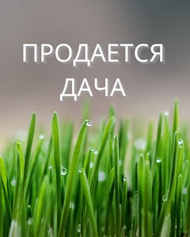 земельный дом: 6 соток — 1