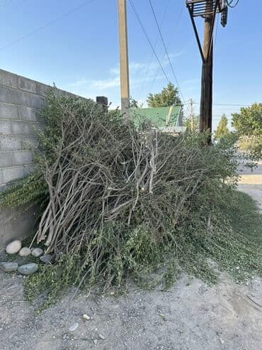 дрова отун сатылат: Отун — 1