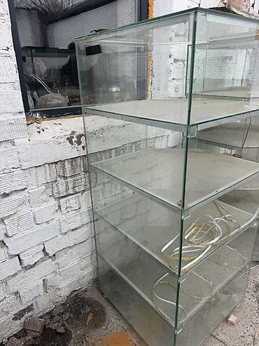 Контейнеры: Срочно продаю витрину 🆘 Стеклянная витрина-пенал В наличии 2 шт - — 2