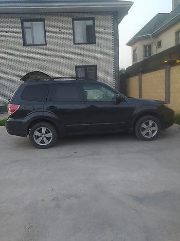 Продажа авто: Subaru Forester: 2009 г., 2.5 л, Автомат, Бензин, Кроссовер — 3