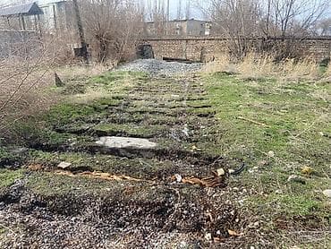 яблоневый сад: 25 соток, Для бизнеса, Красная книга — 3