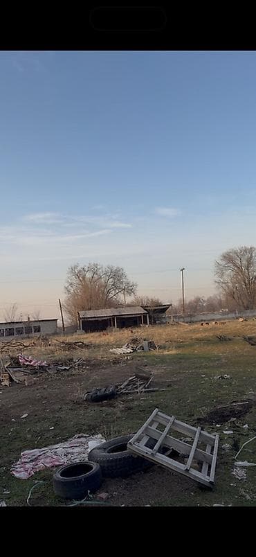 а фрейм дома цена: Крытая площадка/ангар с металлическими фермами и открытой планировкой — 5