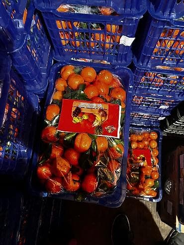 Полуфабрикаты: Мандарины, 800 сом за ящик — 3