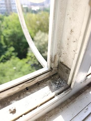 оконные решетки: Дверь: Ремонт, Реставрация, Бесплатный выезд — 3