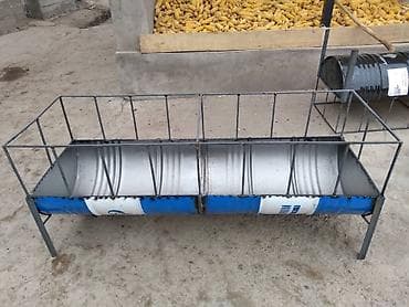 гиссарские бараны: Продаю | Овца (самка), Ягненок, Баран (самец) | Гиссарская, Полукровка, Долан | На забой, Для разведения, Для шерсти | Племенные, Котные, Кастрированные — 3