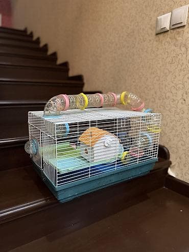 продаю животных: Клетка для хомяка с игровым тоннелем и аксессуарами - Просторная — 4