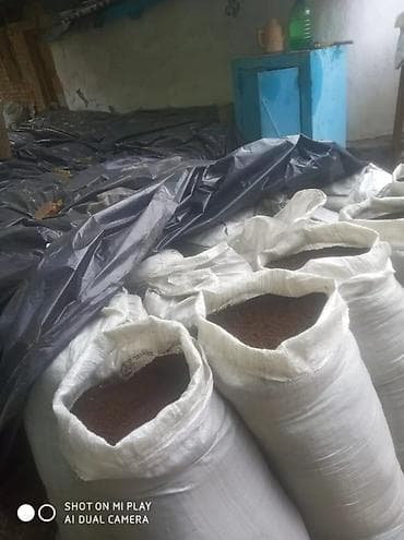 грохус удобрения: Удобрение Гумус — 2