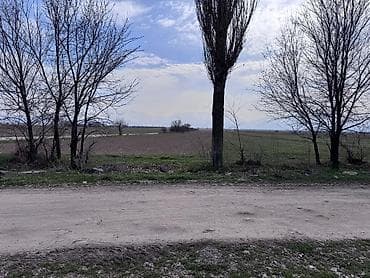 Недвижимость: 16 соток, Для сельского хозяйства — 4