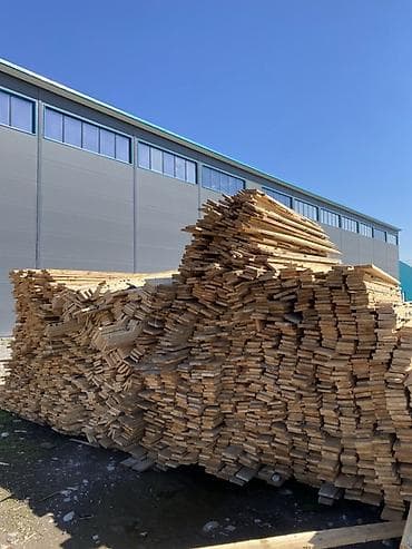 тополь продаю: Хвоя — 4