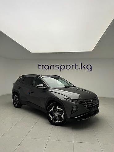 Hyundai Tucson: 2022 г., 1.6 л, Автомат, Бензин, Кроссовер