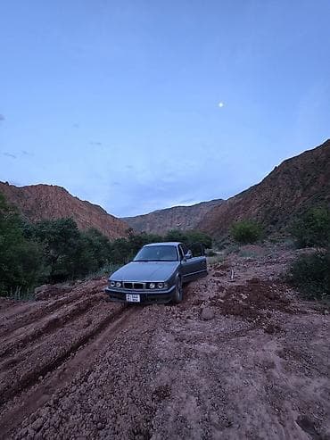 bew e39: BMW 5 series: 1993 г., Седан — 2
