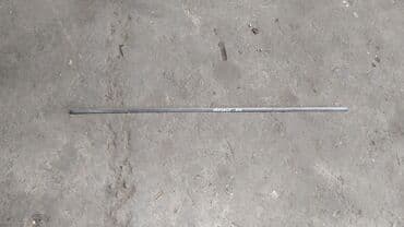 Nissan Presage молдинг двери, Ниссан Пресаж дверной молдинг Задний