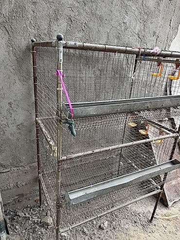 Собаки: Продам клетку для перепел — 6