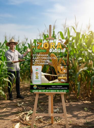 семена арпа: В наличии семена ранних гибридов кукурузы: - DORKA (ФАО 190) - ZORA — 1