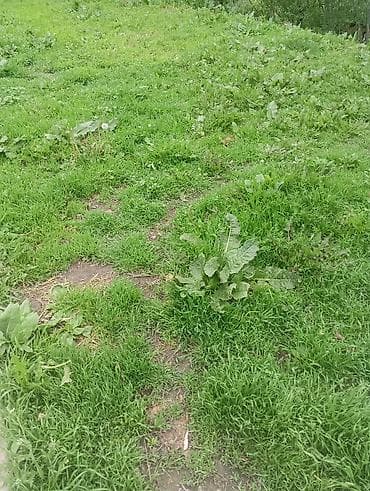 Арава району Кен сай.3 часток 1 жерде 6 сотуктан ар бири. Участок